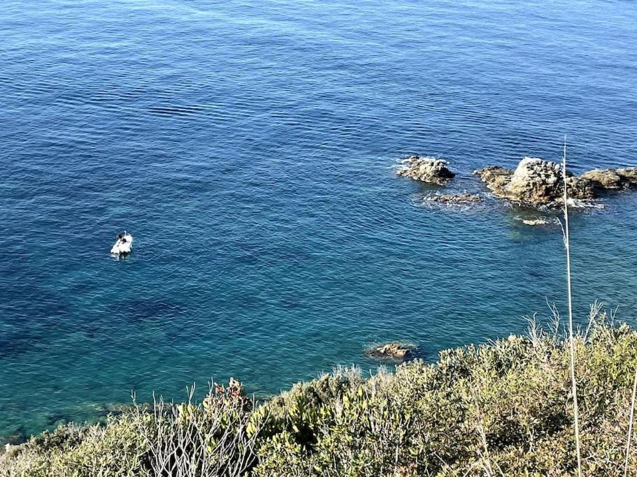 La Casina A Piombino Lejlighed Eksteriør billede